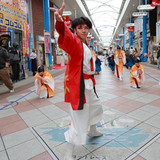 藤井 大雅
