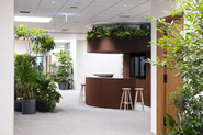 緑が多くリラックスできるオフィスを目指しています