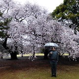 Hideaki Fukui