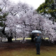 Hideaki Fukui