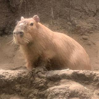 松山 新さんのプロフィール