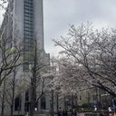 伊藤 咲彩