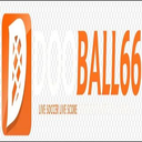 dooball66 bet