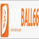 dooball66 bet