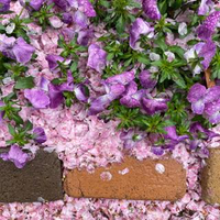 o nさんのプロフィール