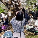 新谷 かな