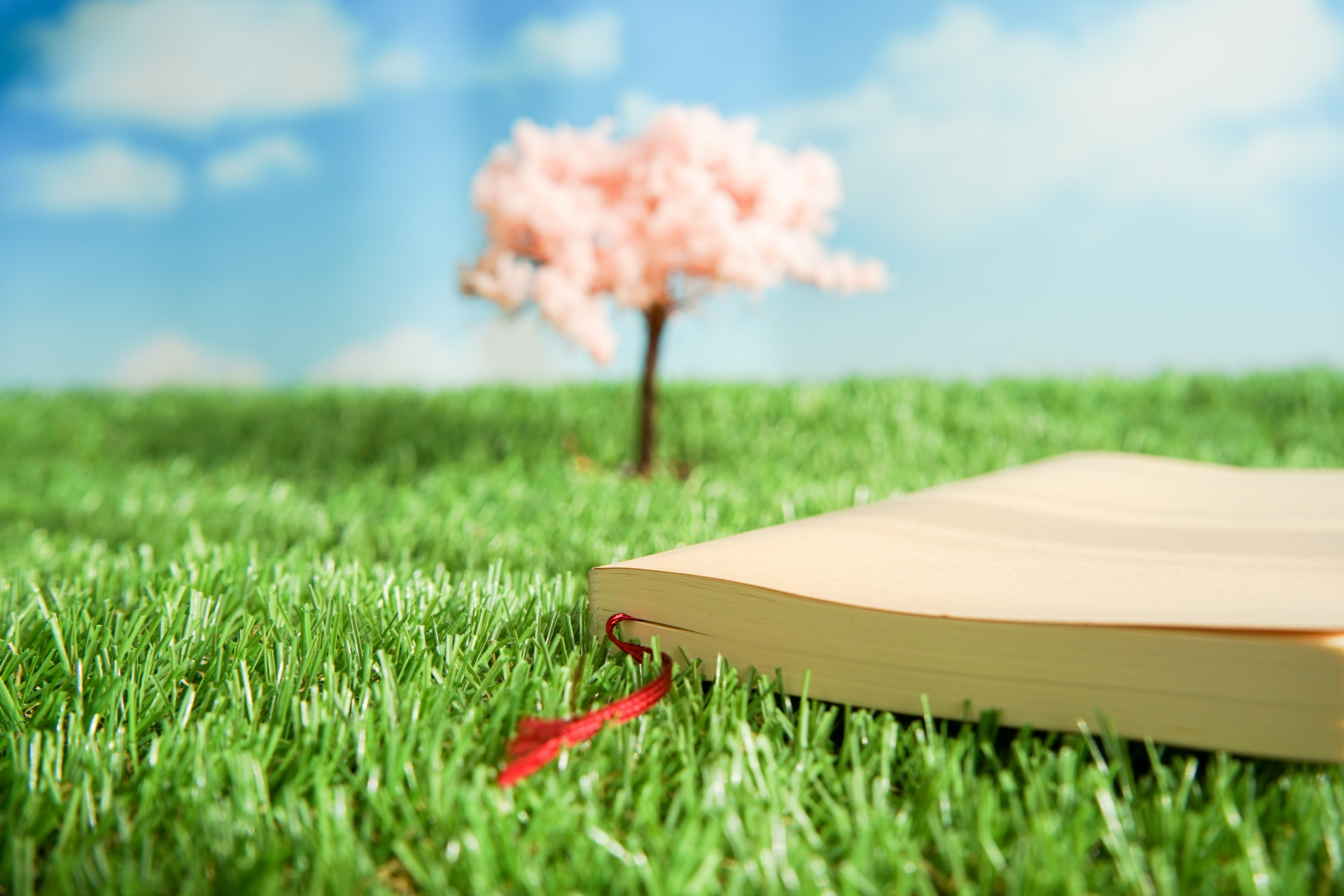 本、読んでますか～！？