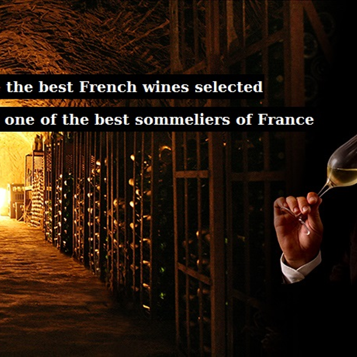 What's new from The French Cellar Pte Ltd (Singapore) Wantedly