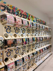 カプセルトイ売場も運営しています