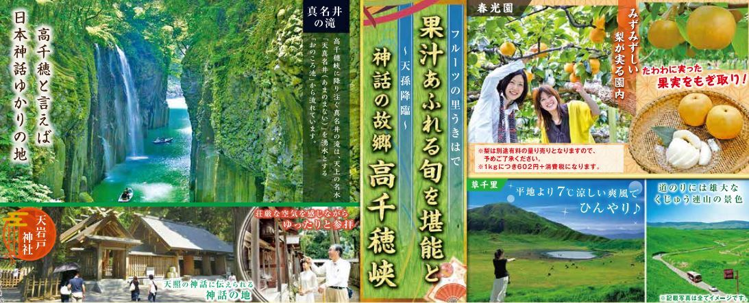 STEPトラベル過去ツアー紹介「高千穂と春光園梨狩りの旅」