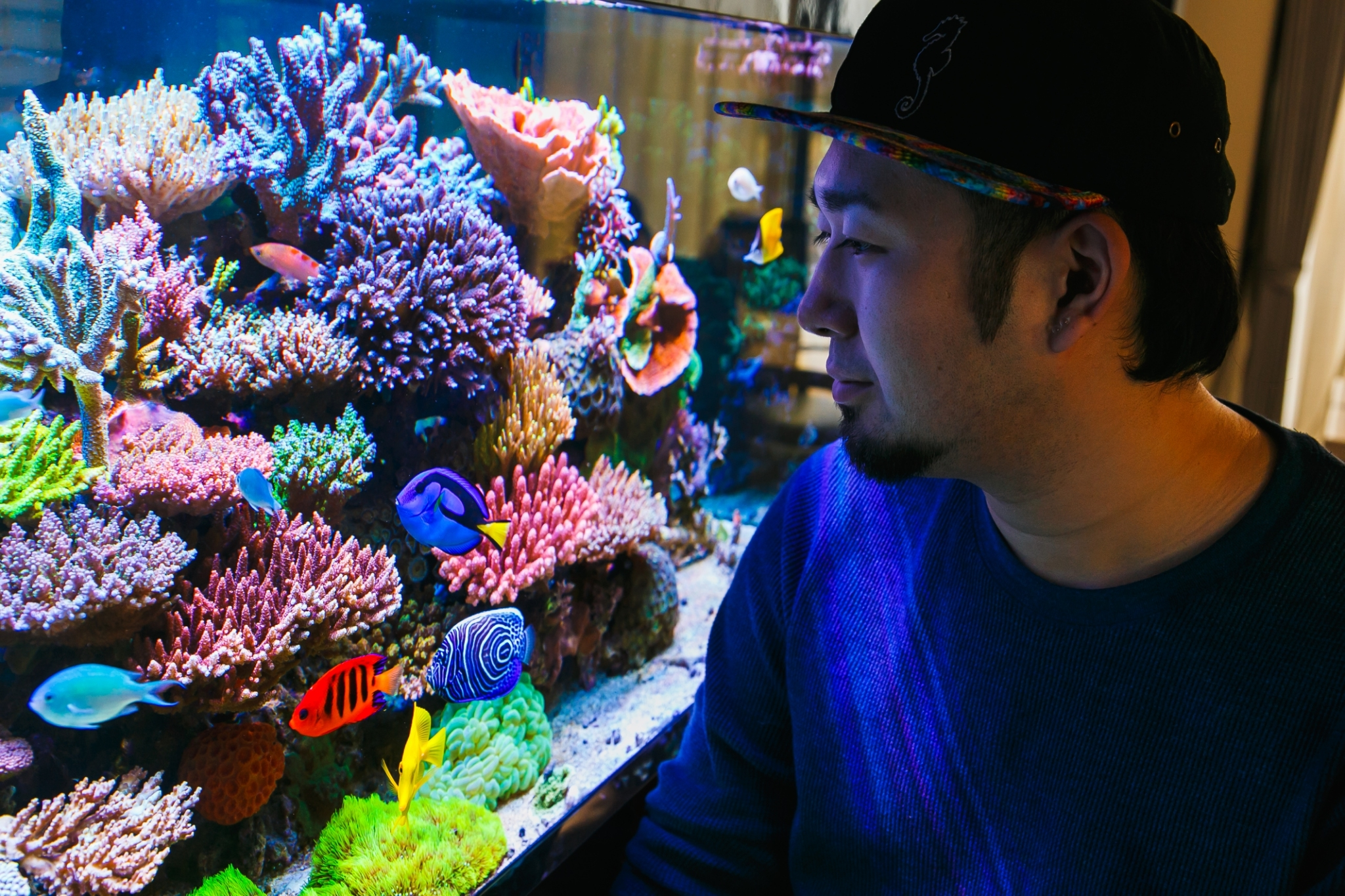 CAO（Chief Aquarium Officer）というシゴトとは？取締役 増田へのインタビュー