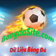 dulieubongdaso2
