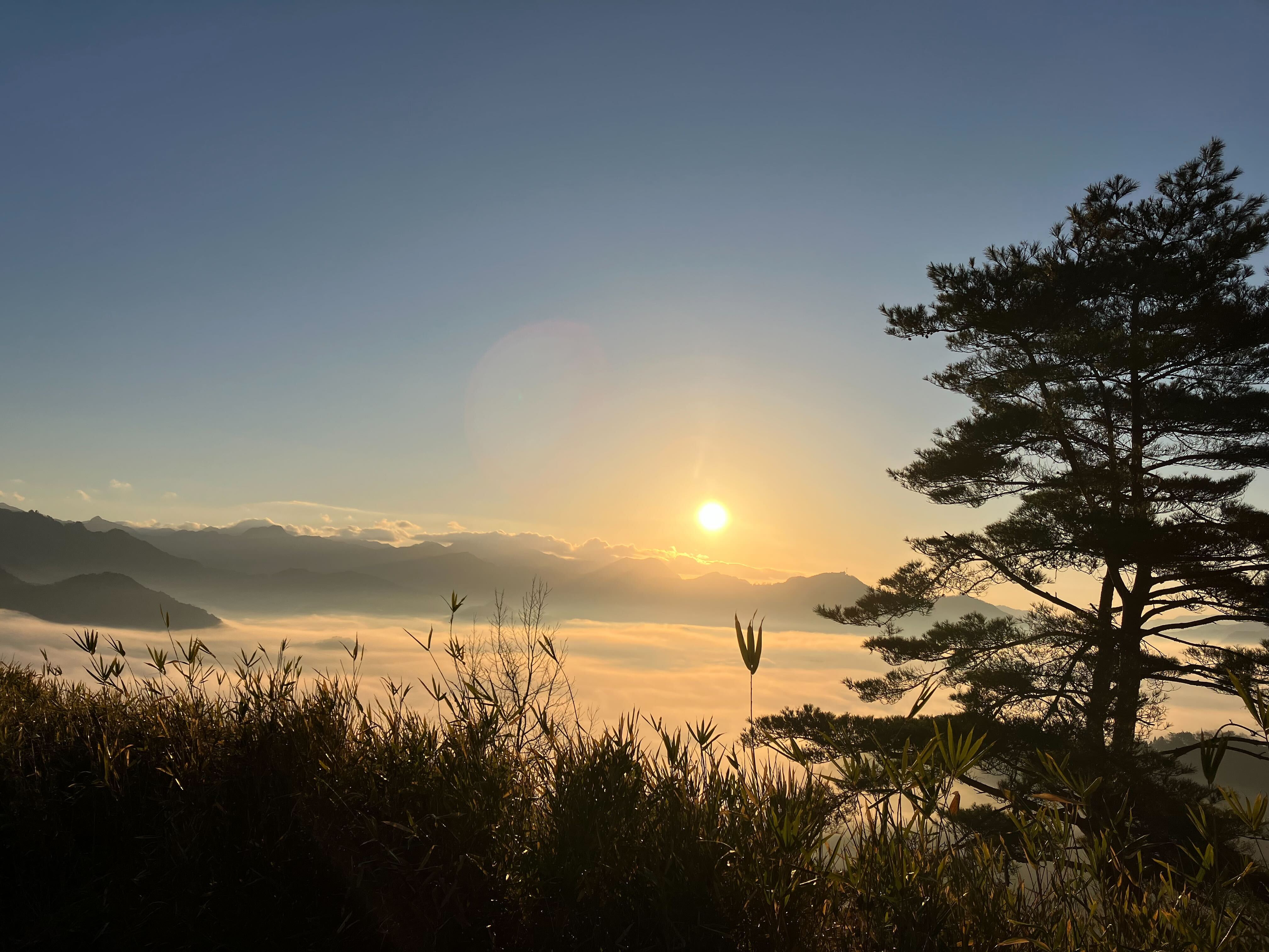 お客様の「自走」を支えたい！「テックタッチ」で叶える私らしいCustomer Success