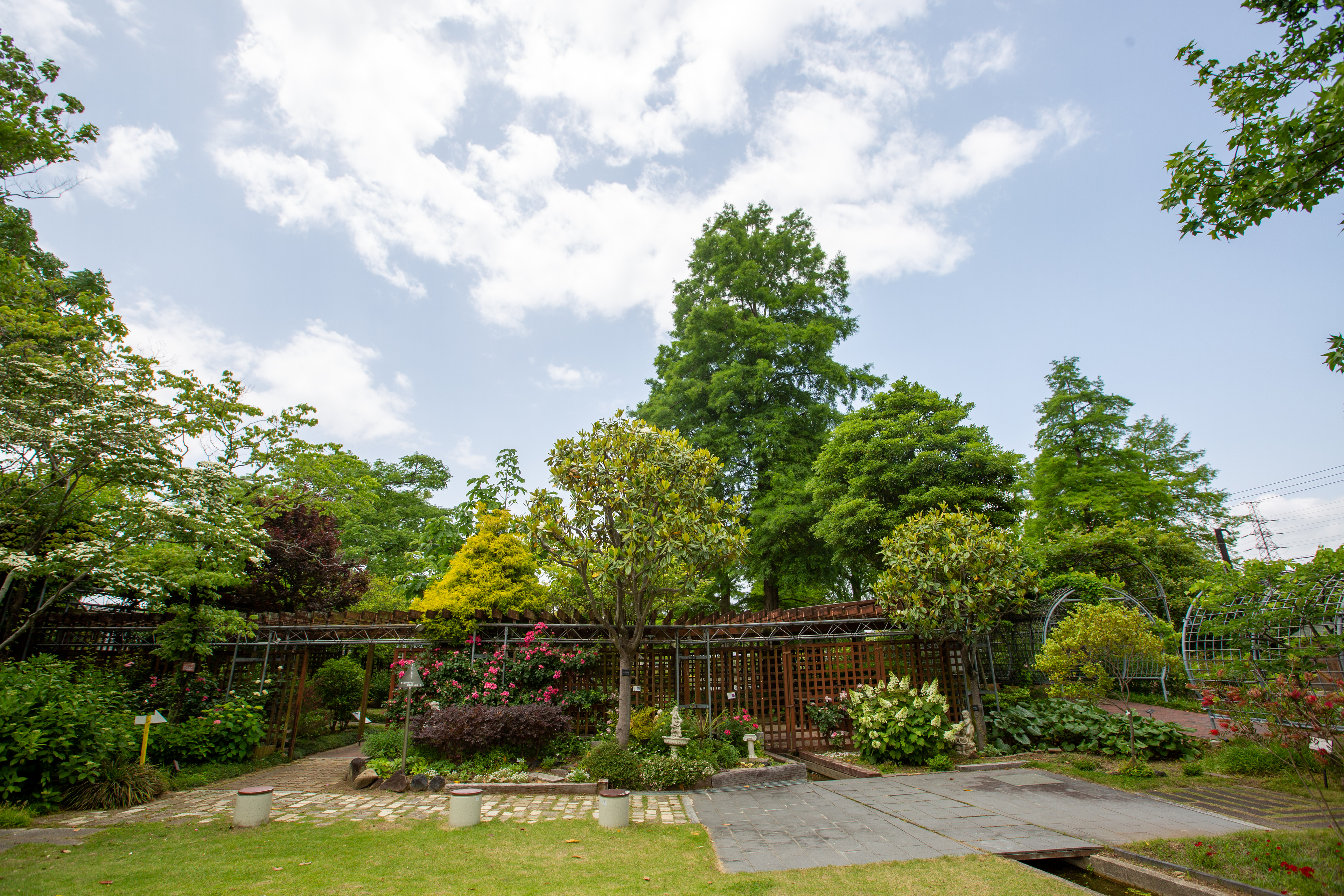 自然が好き。でも自然だけじゃない。【スタッフインタビュー①】