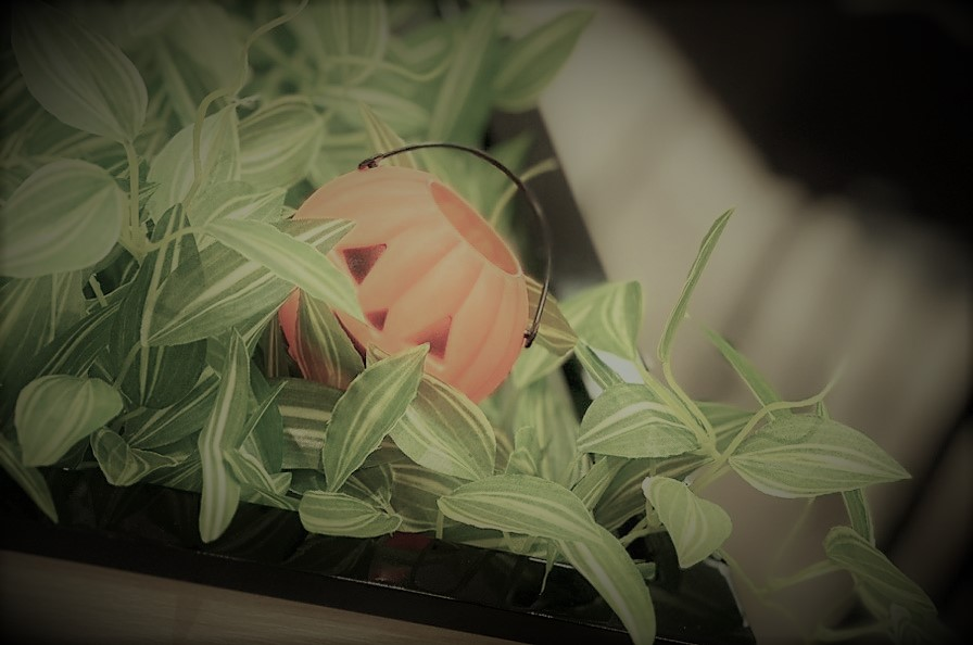 大切な人に職場を見てもらいたい！＜ファミリーデー＞