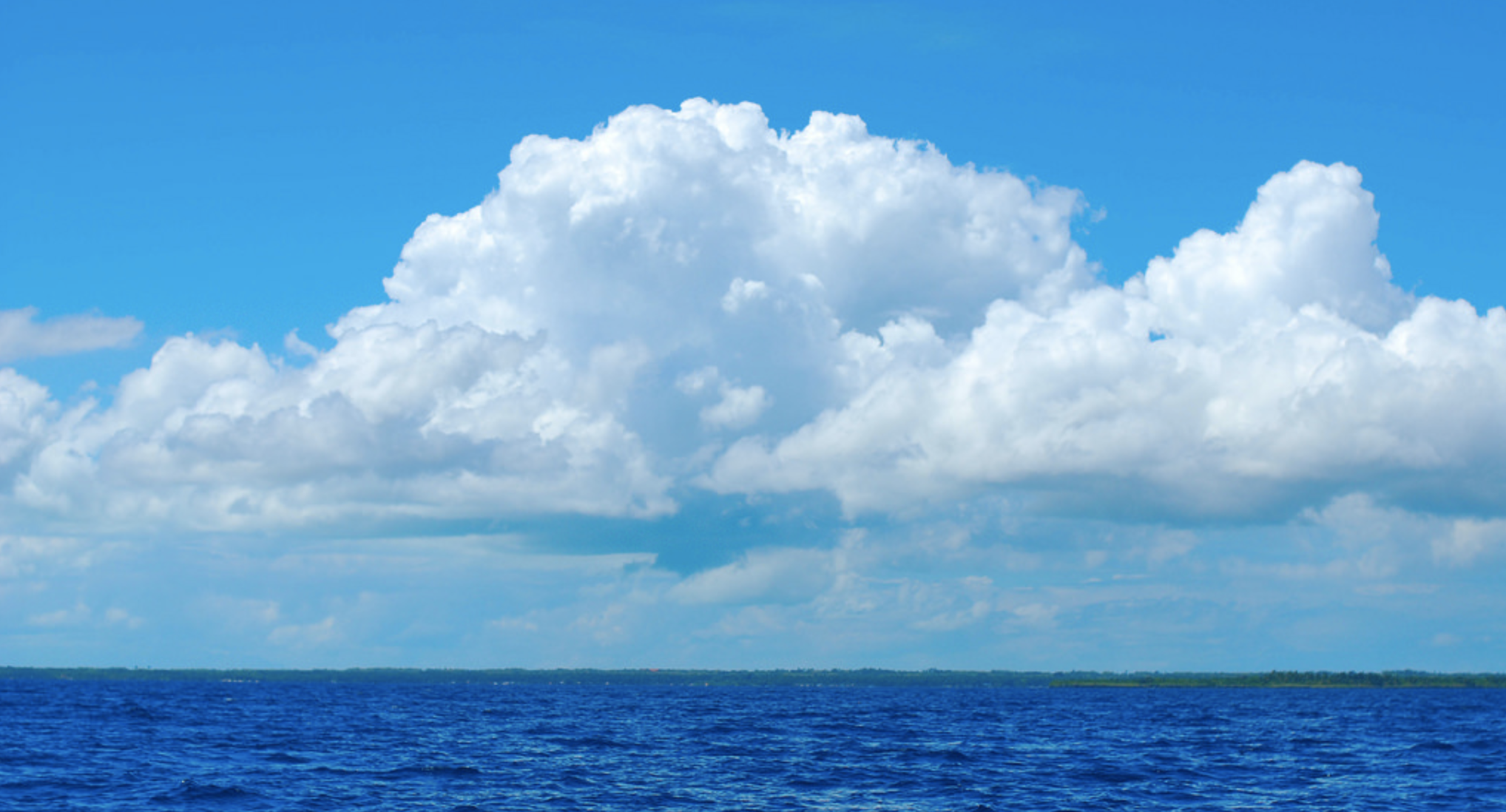 営業の分岐点 (Branch point of sales)