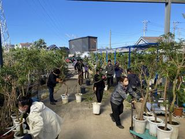 レンタルで使用した植木を再生しなおしＳＤＧｓへ貢献