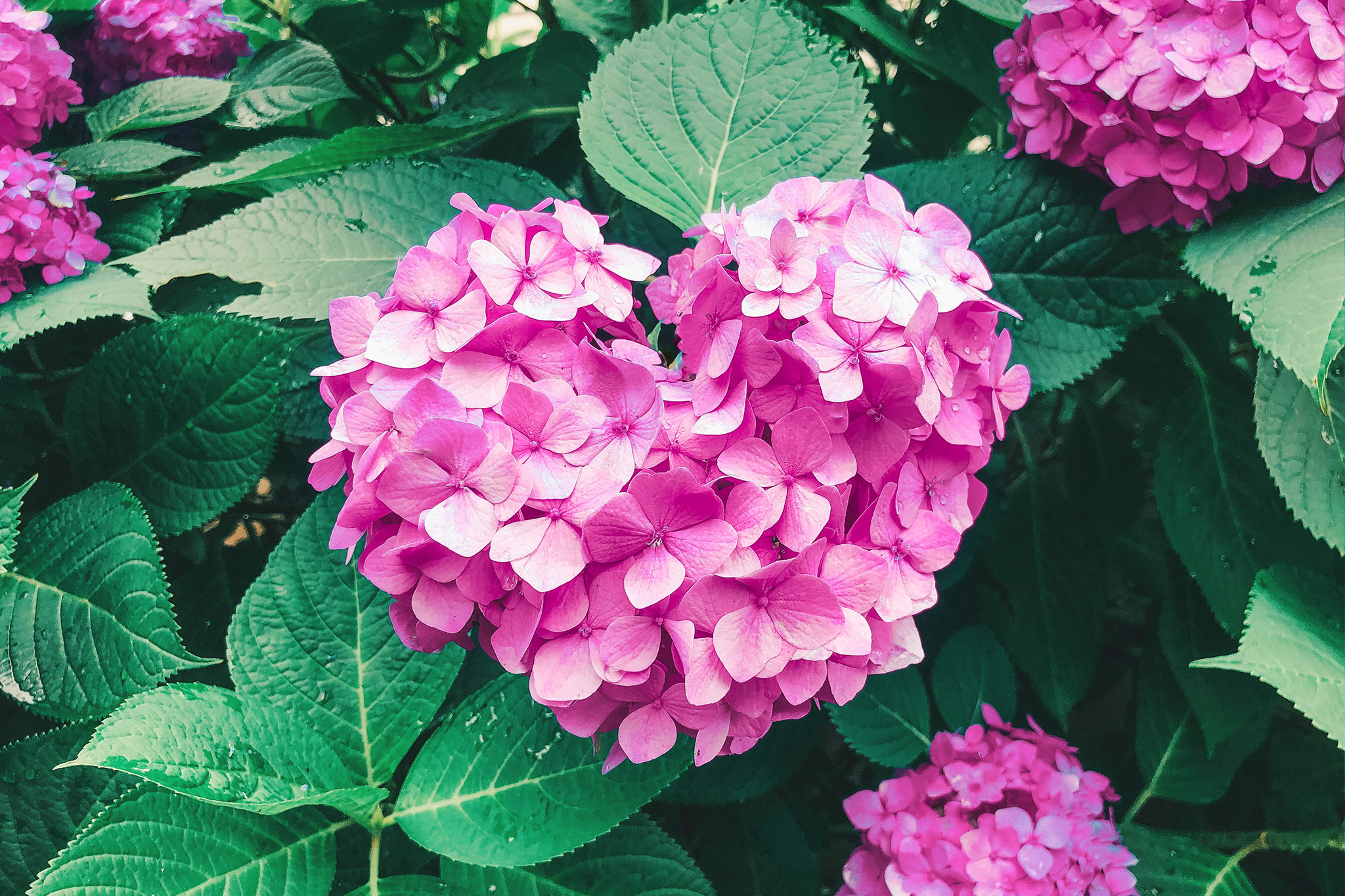 社内で一番大切にしないといけないことって？？