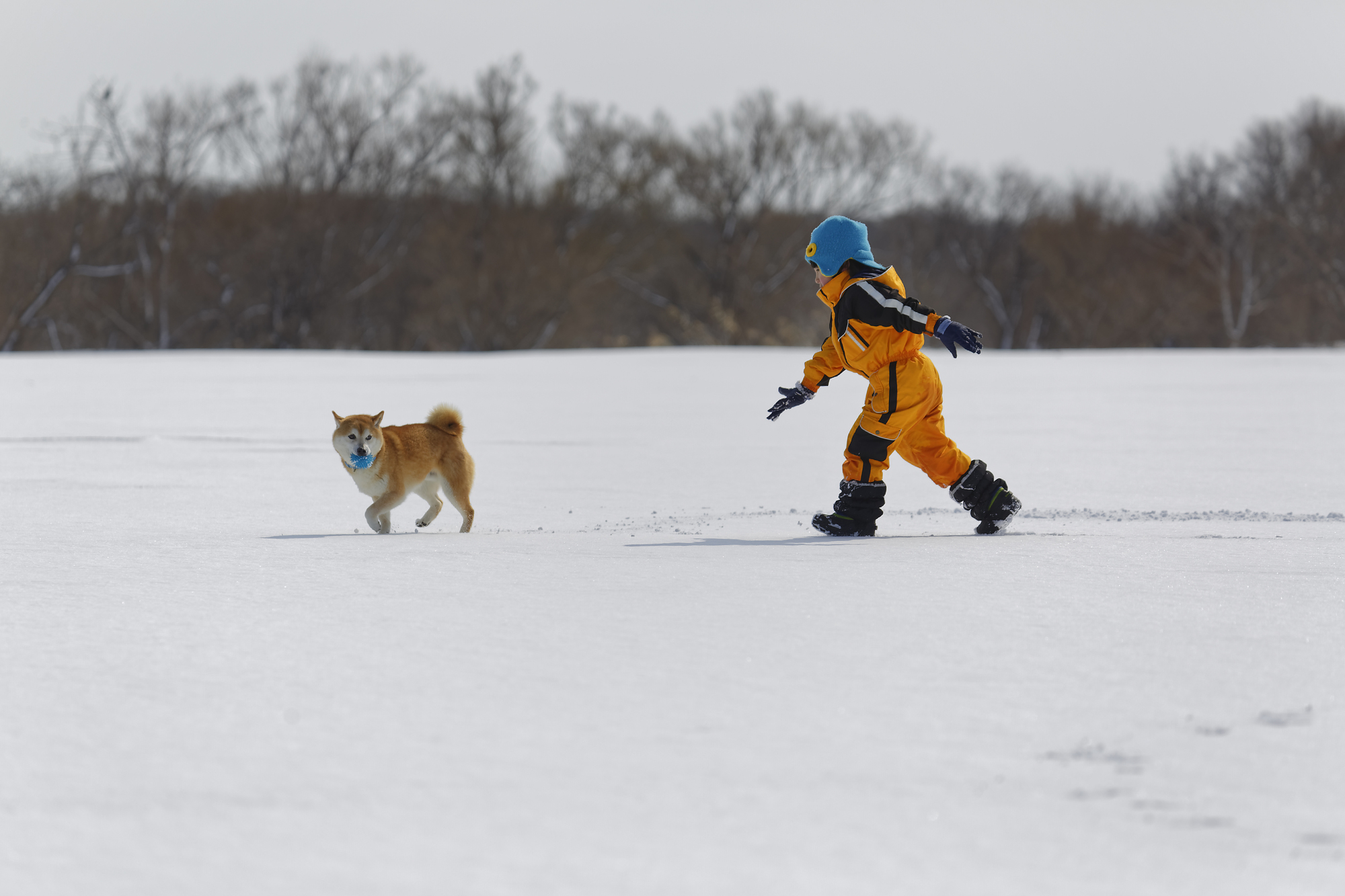 冬期休業のお知らせ
