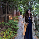Lisa IDE