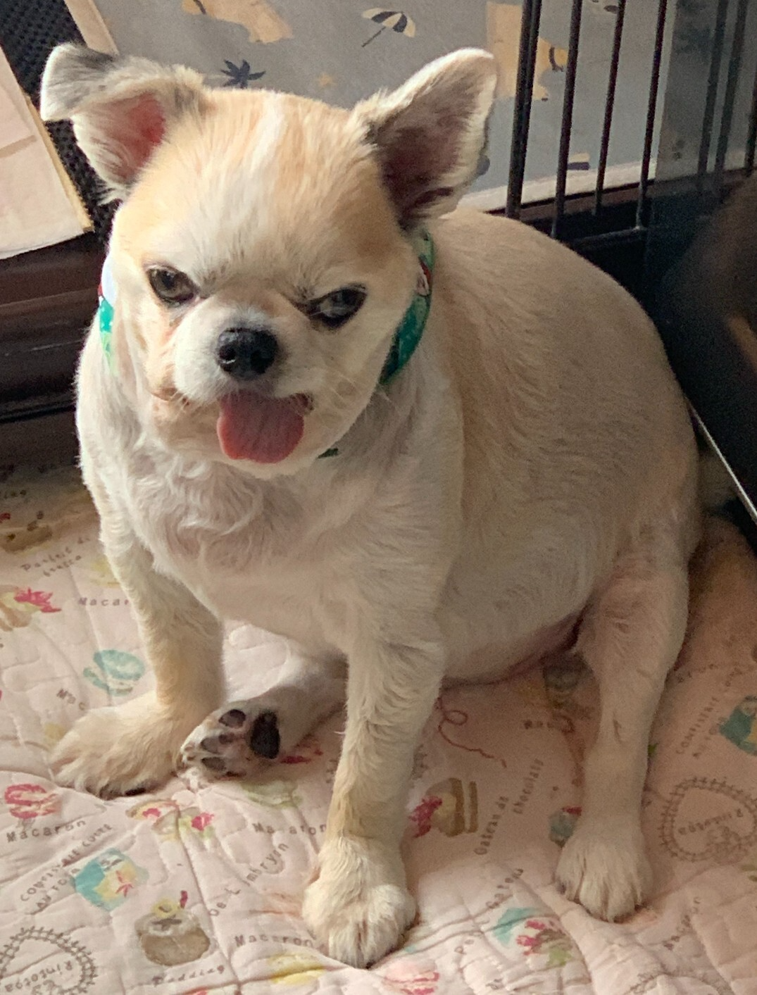 【25新卒BlogVol.4】R.K.さん