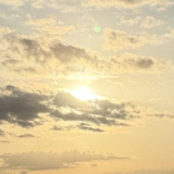 関沢 勇登
