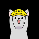 小泉 優介