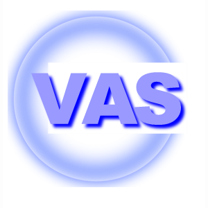 株式会社バンガードシステム