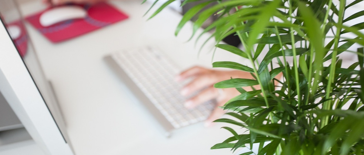 少数精鋭で開発！React/TypeScriptのスキルが存分に活かせます