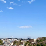 Mayumi Tanihata