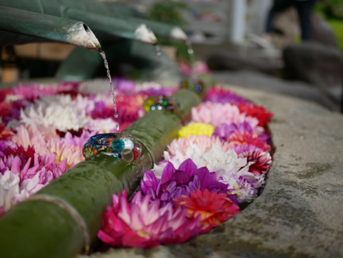 一週間の始まり