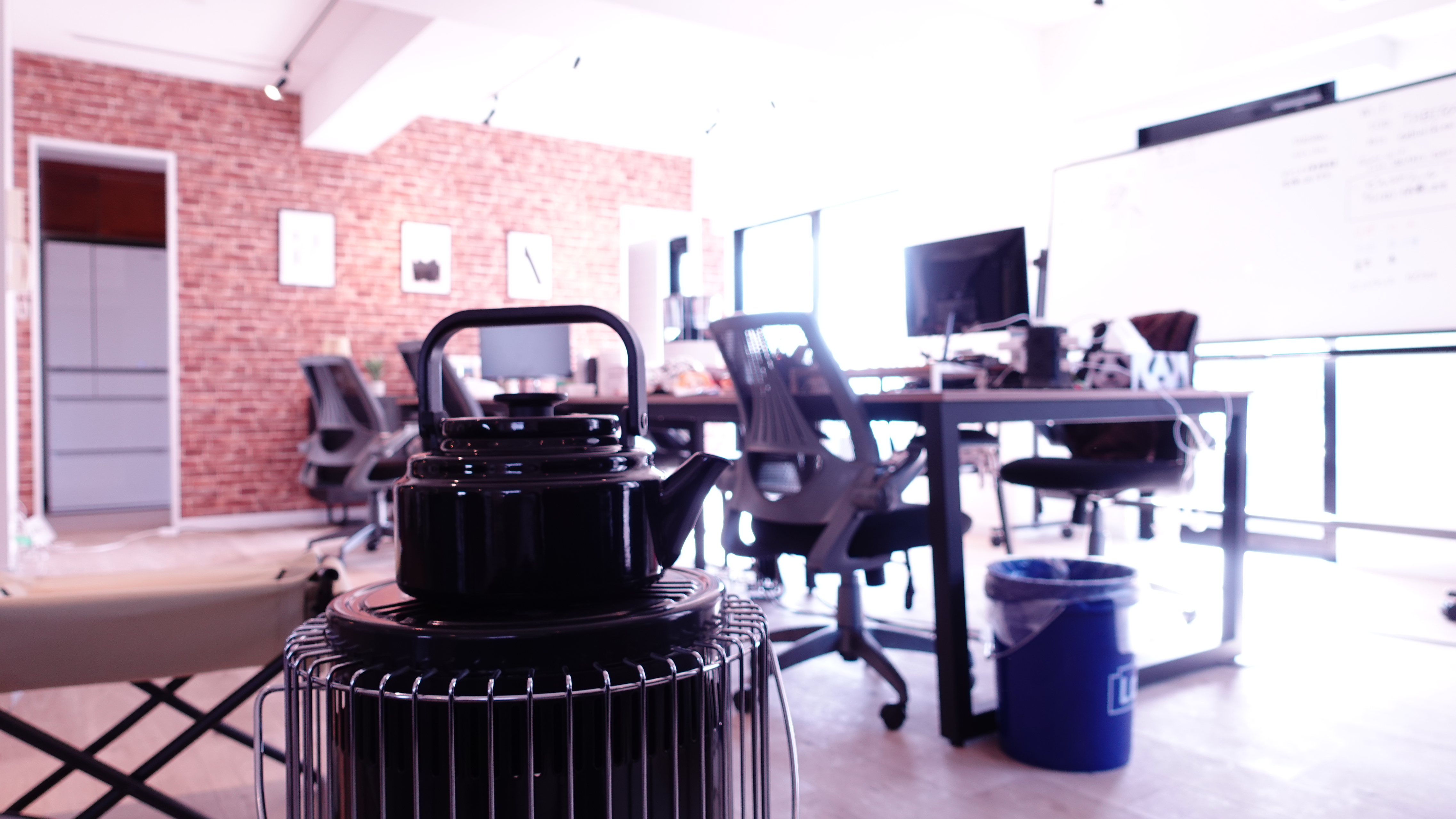 すっかり春の日和...