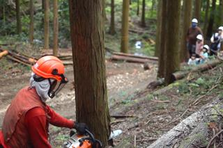 森林を再生し地方創生を｜森を再生する森林施業プランナー募集！