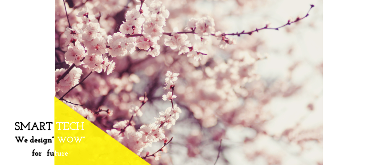 みんな違ってみんな良い。2021年新卒入社メンバー紹介！vol.1