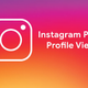 How to view someones  private instagram photos