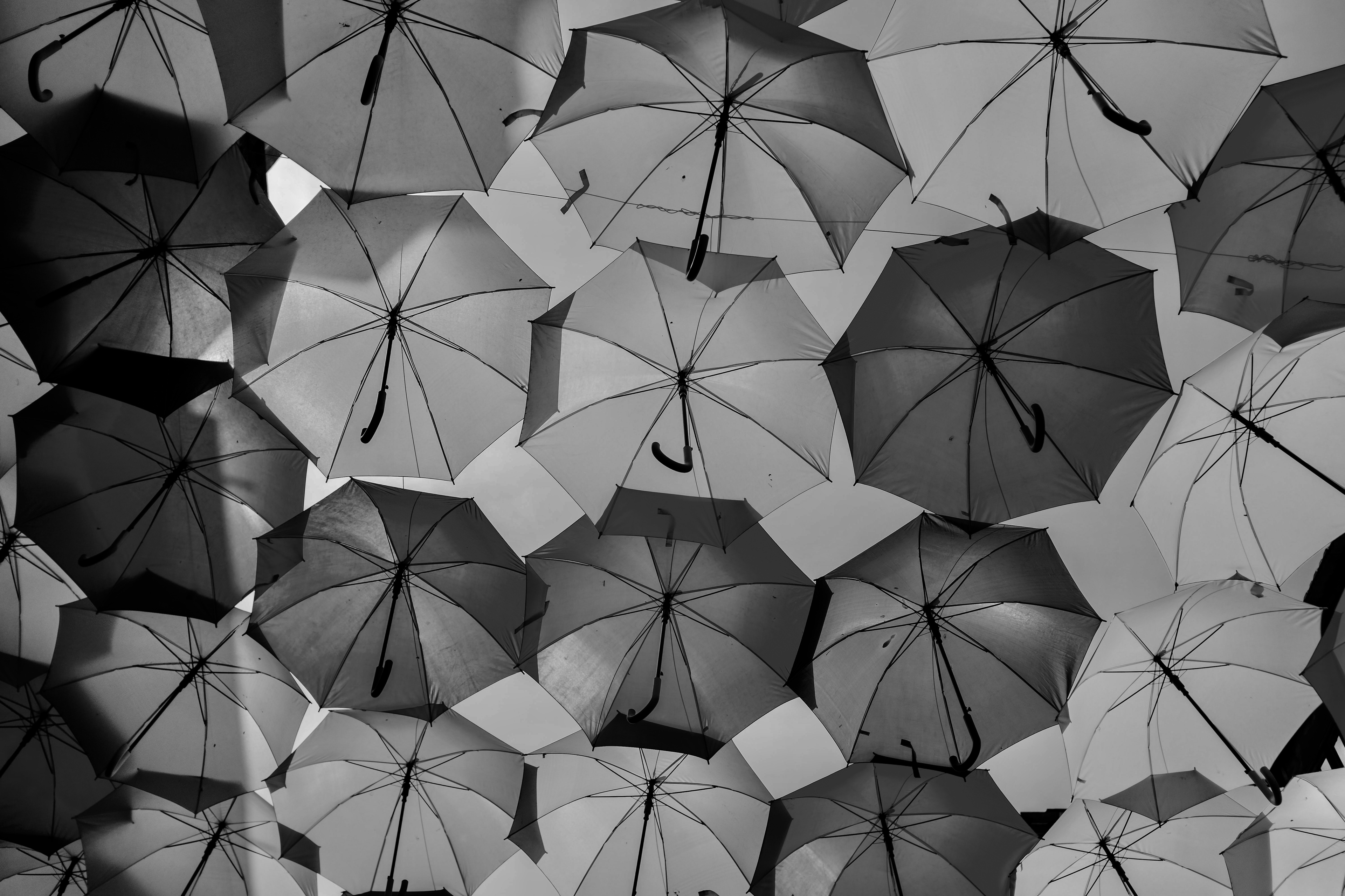 多分コメディかファミリードラマの分類　『アンブレラ・アカデミー』シーズン１感想