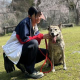 おがわ もも