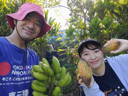 原材料の美味しさを魅力とし、沖縄の生産者から直接仕入れも行います。沖縄でのカカオ栽培にも取り組んでいます。
