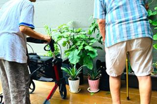 病院でも自宅でもない、新たな選択肢"ホスピス住宅"の相談員募集