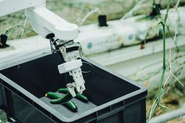 JA全能ぐんまによる、キュウリ収獲ロボットの導入