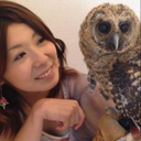 Ai Hinishi
