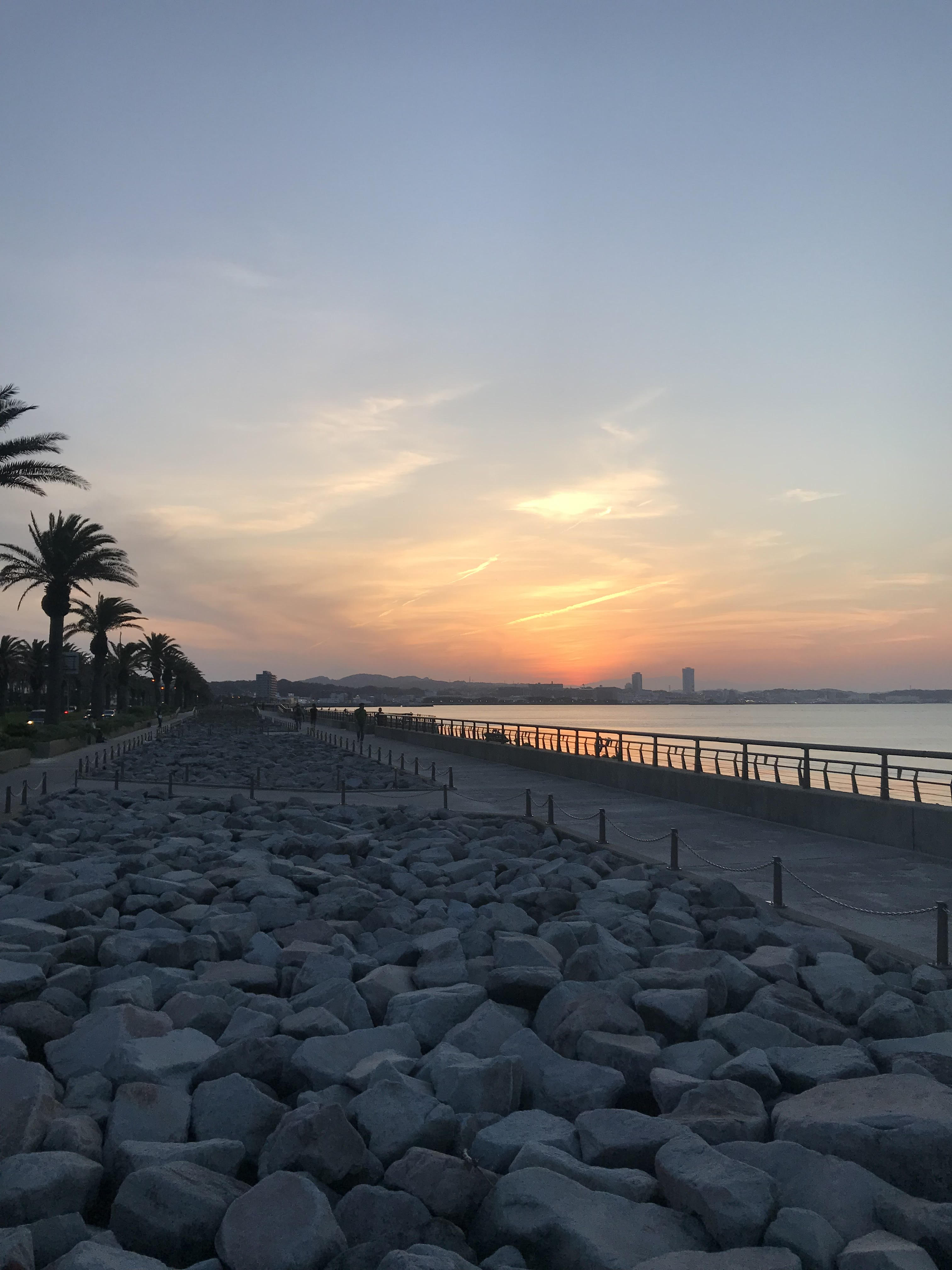 事業会社に入社するまでの軌跡