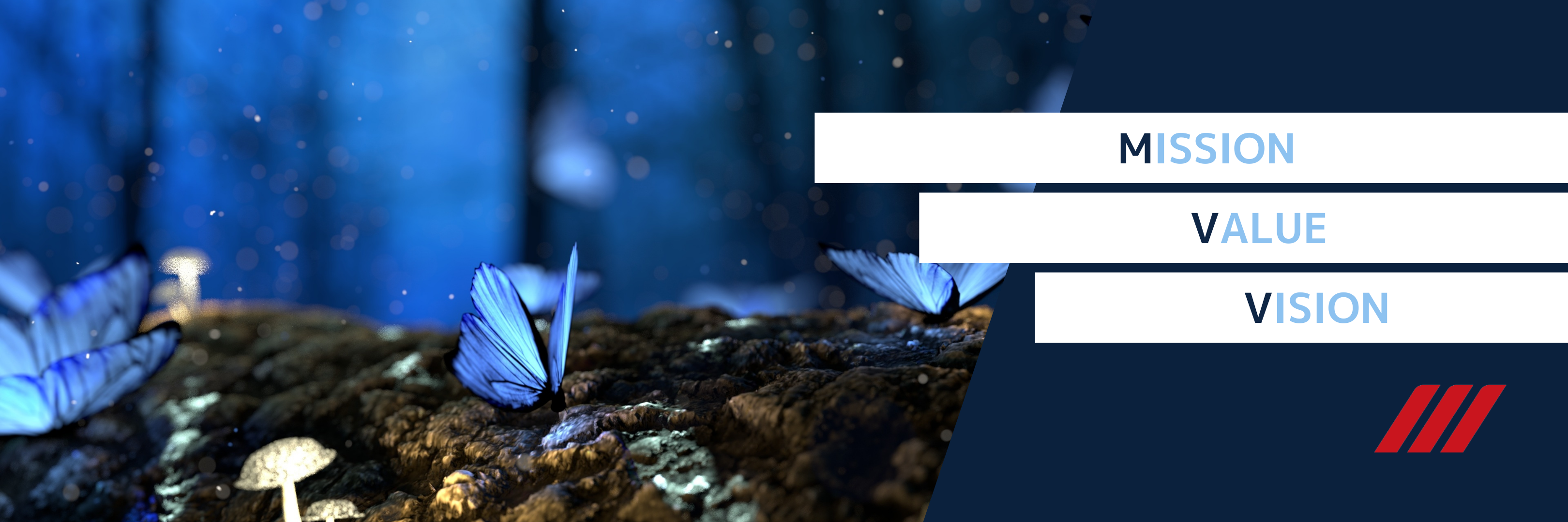 インヴァランスの熱い思いを込めたMVV、策定の様子を初公開！！