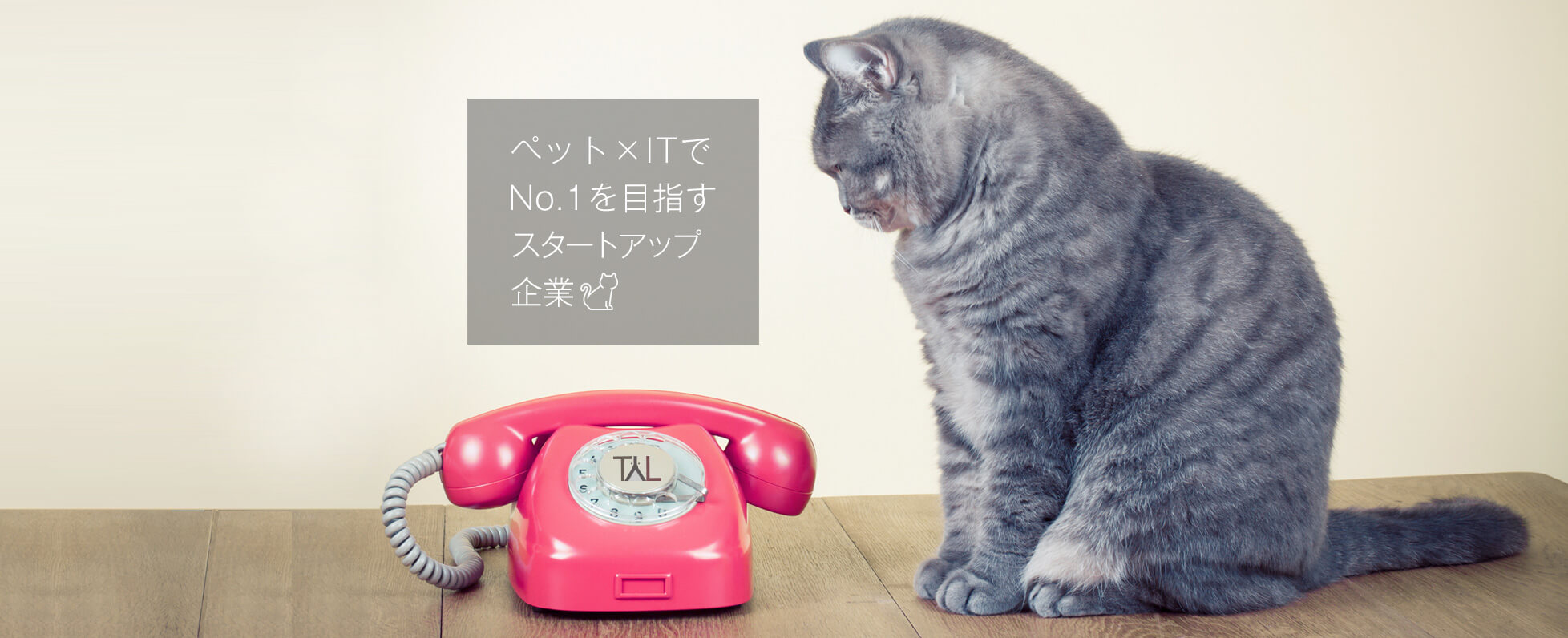 【入社式】創業1年目のスタートアップに早くも新卒が入社しました