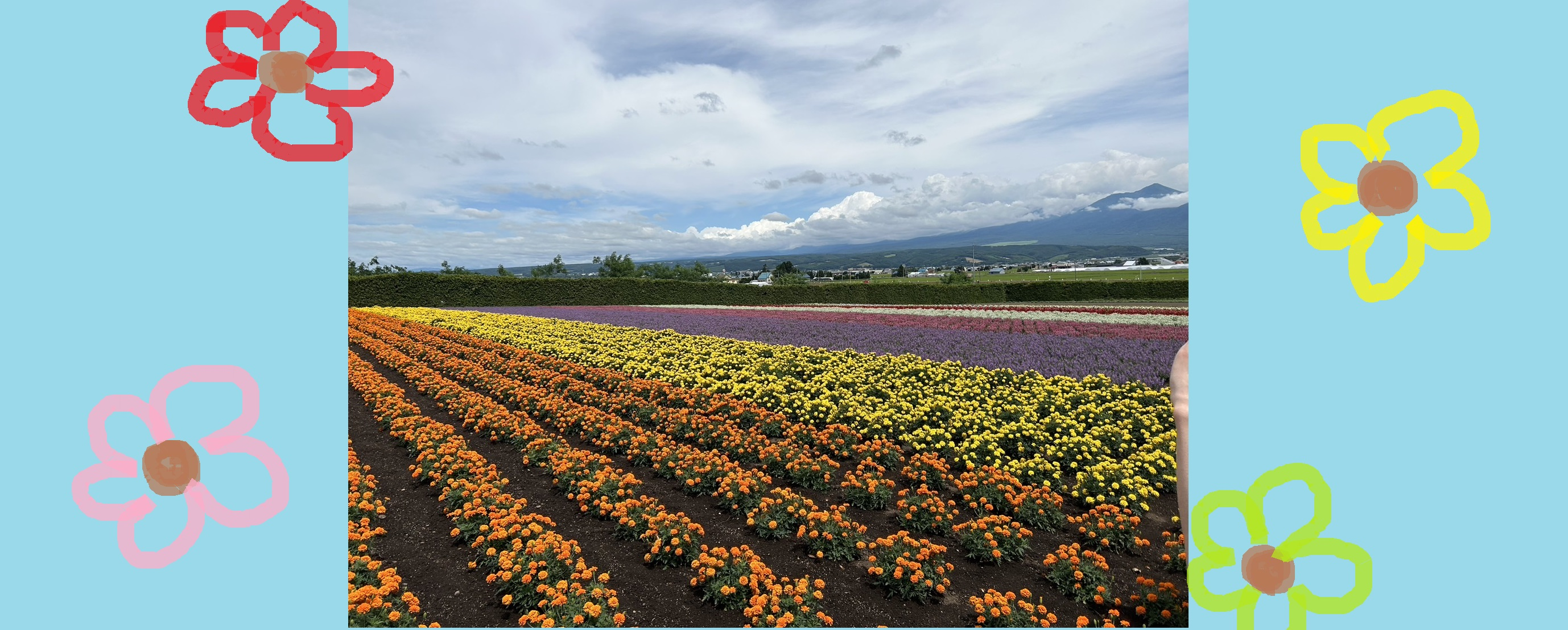 旅行手当を使って新婚旅行へ！！