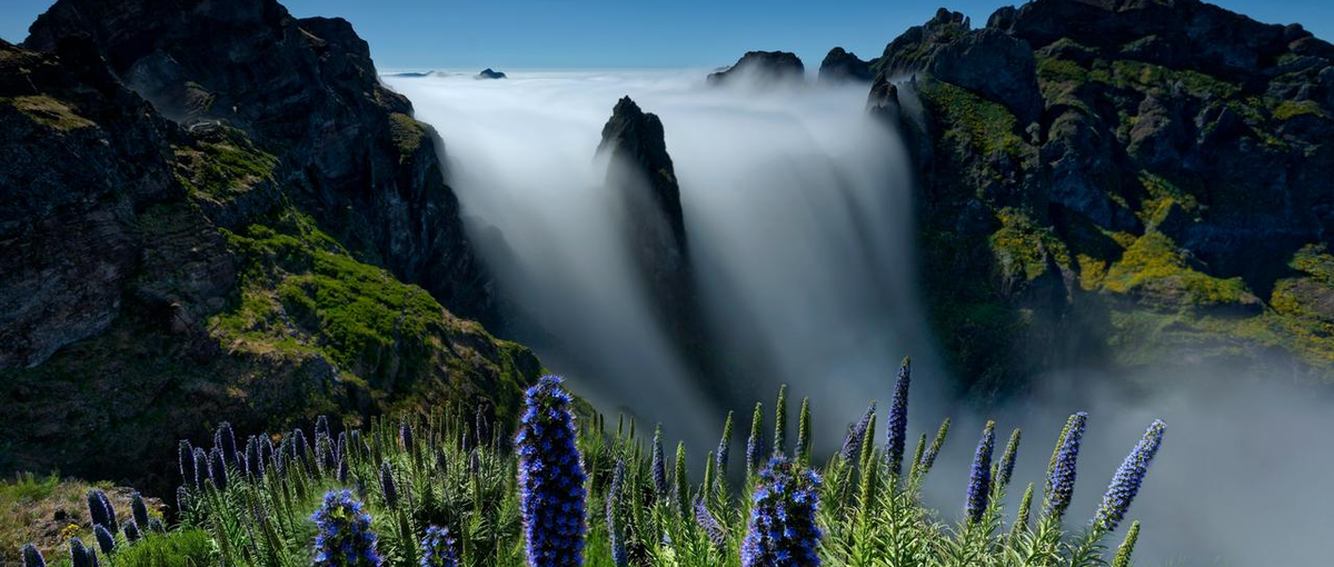 生成AI開発会社でAzureクラウドセキュリティエンジニア募集！