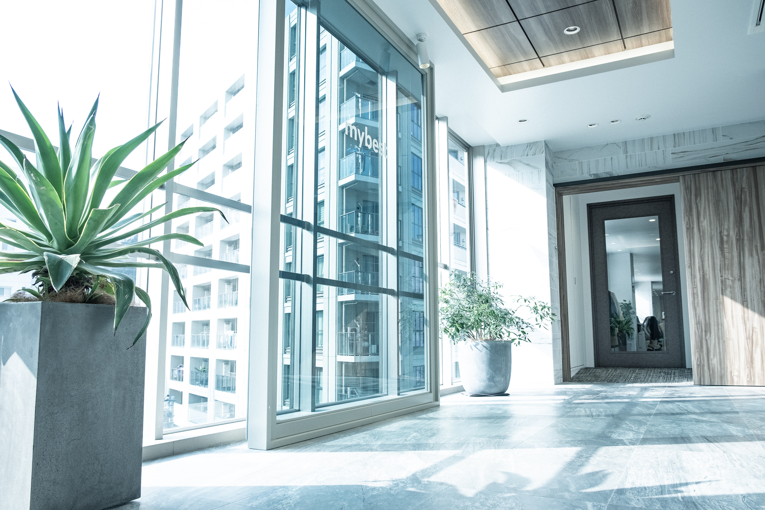 【できたてホヤホヤ】マイベストの新オフィス『THE TERRACE TSUKIJI』を大公開！