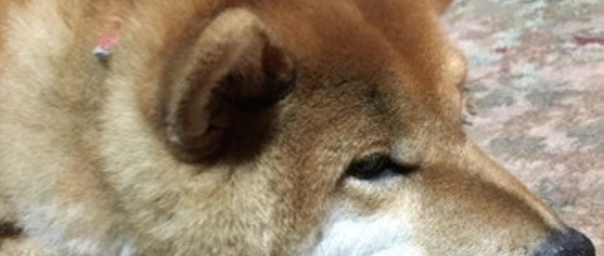 一人一人と向き合って納得のいくエンジニアライフを！社内定着率95％を誇る