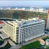 Prestige Pine Forest