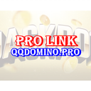 Pro Link